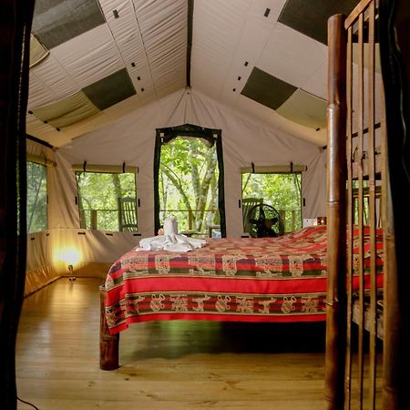 Punta Mala Rio Tico Safari Lodge מראה חיצוני תמונה
