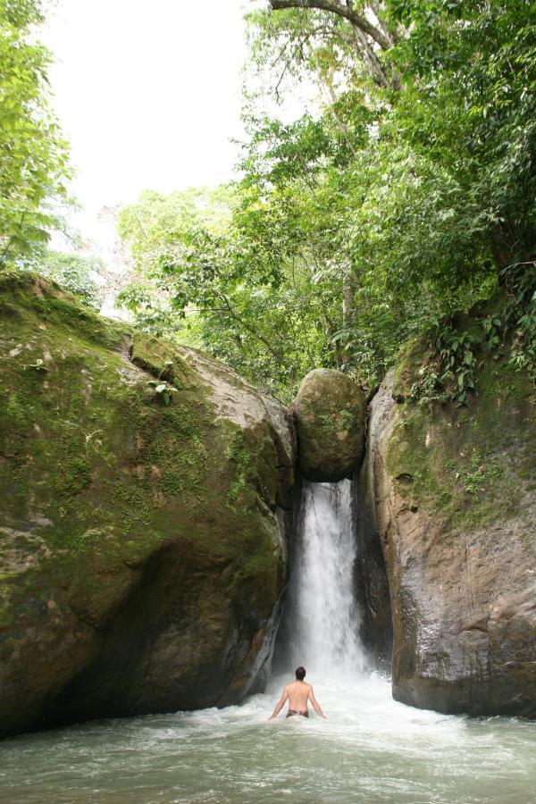 Punta Mala Rio Tico Safari Lodge מראה חיצוני תמונה