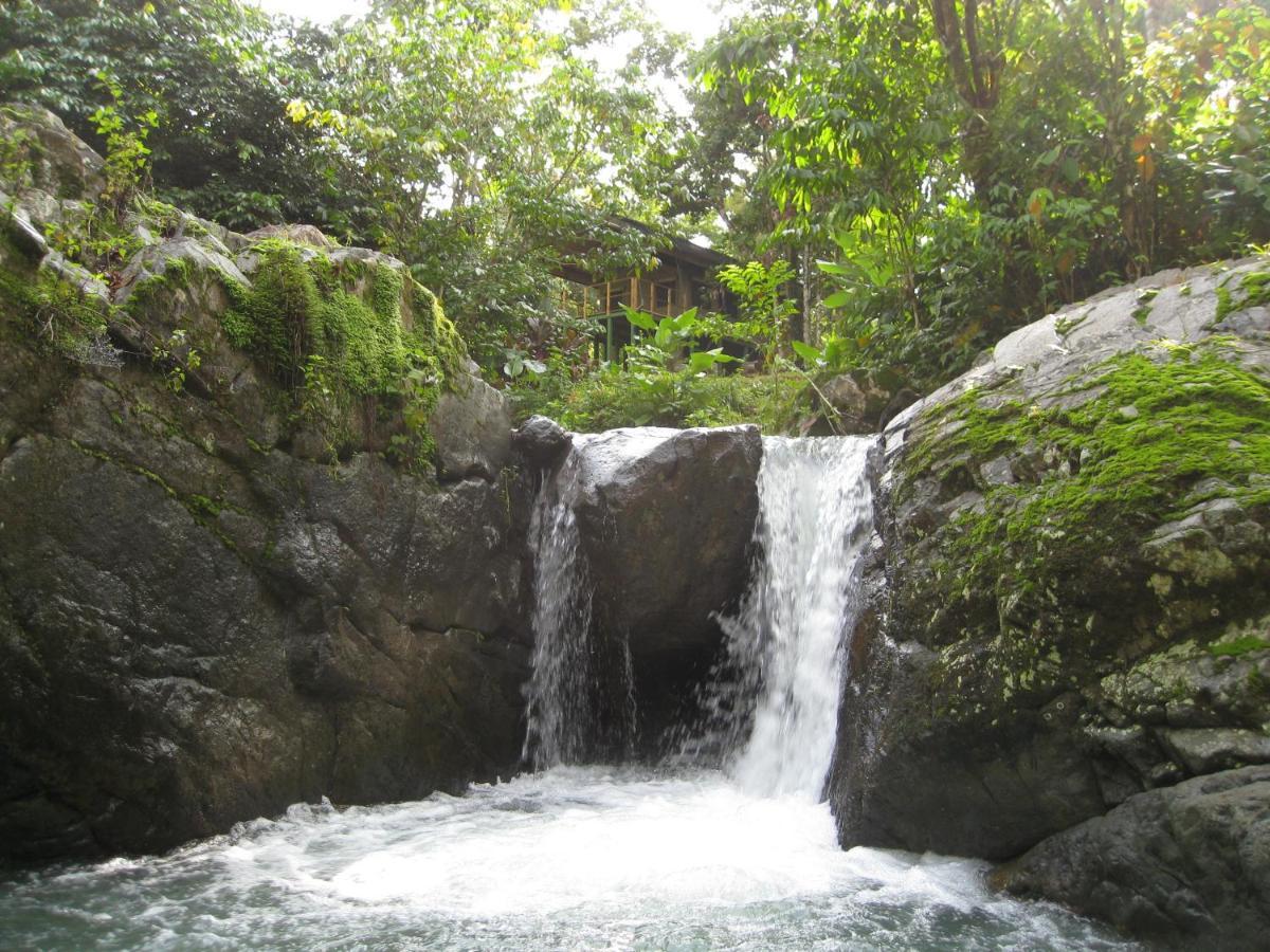 Punta Mala Rio Tico Safari Lodge מראה חיצוני תמונה