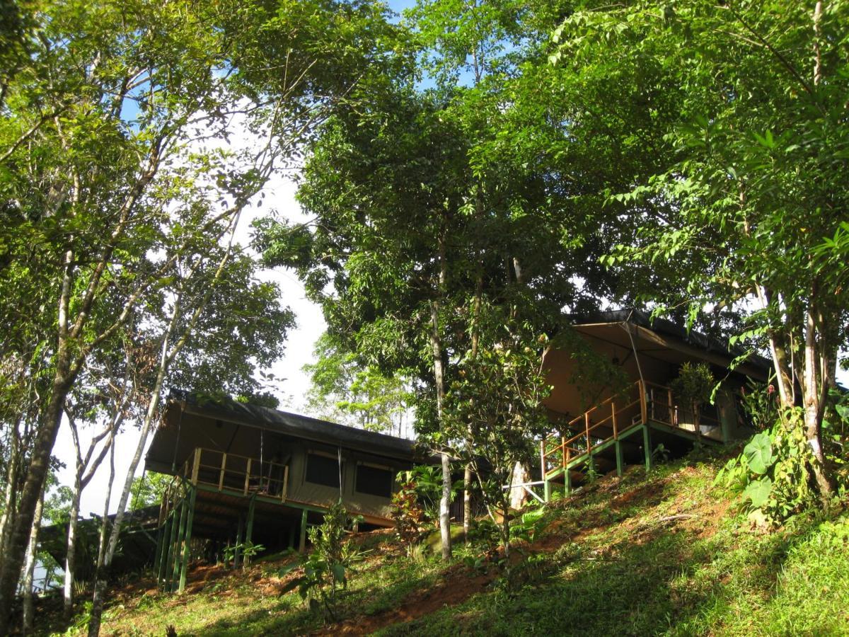 Punta Mala Rio Tico Safari Lodge מראה חיצוני תמונה