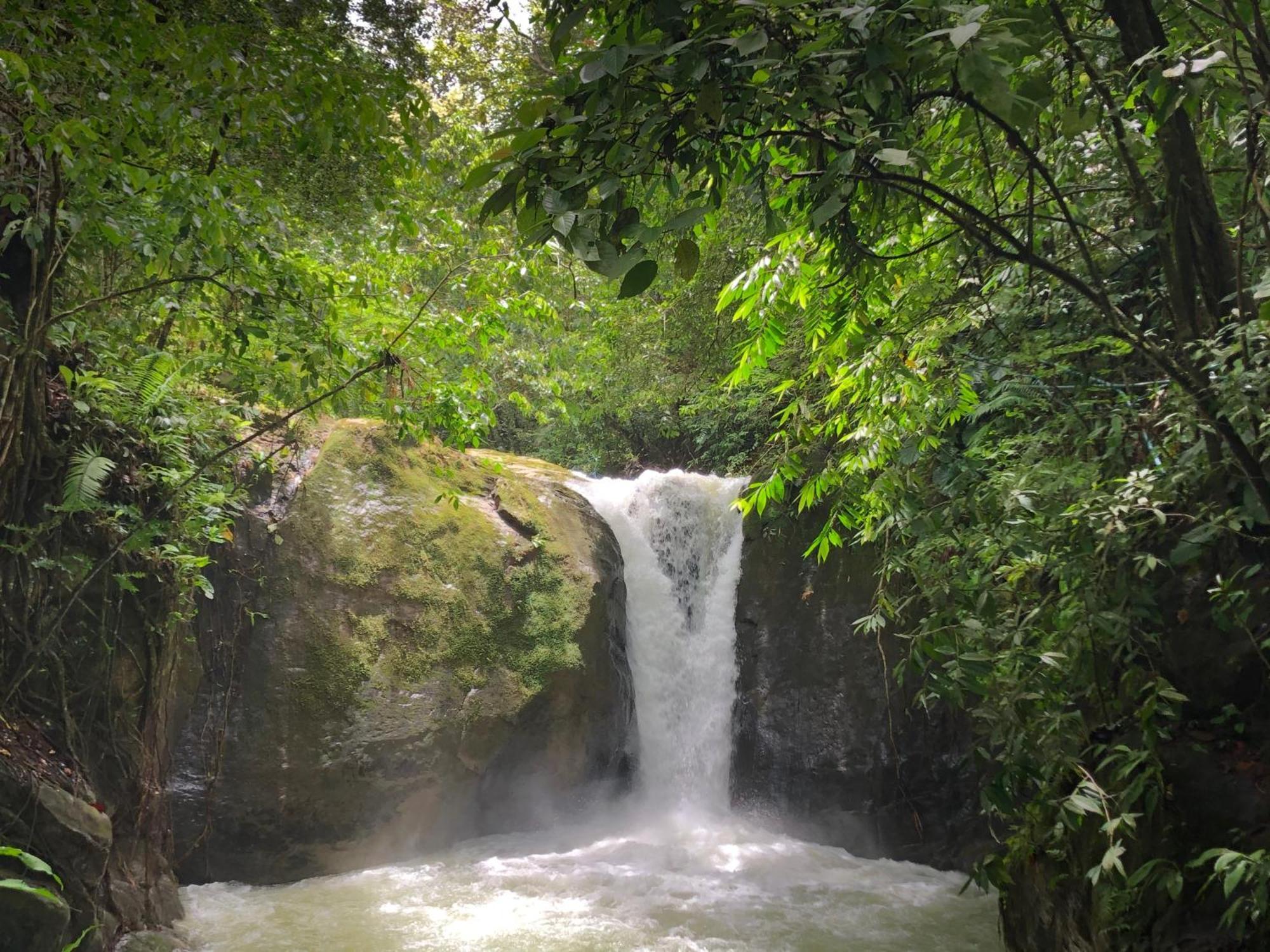 Punta Mala Rio Tico Safari Lodge מראה חיצוני תמונה