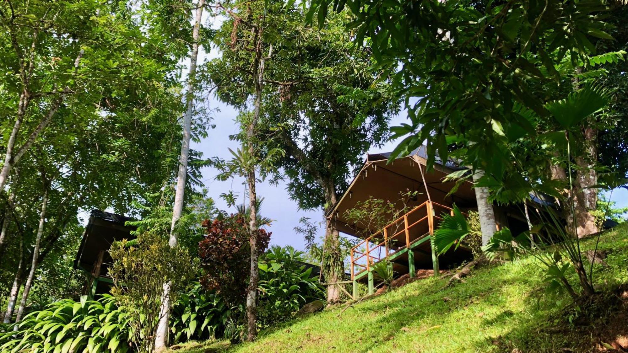 Punta Mala Rio Tico Safari Lodge מראה חיצוני תמונה